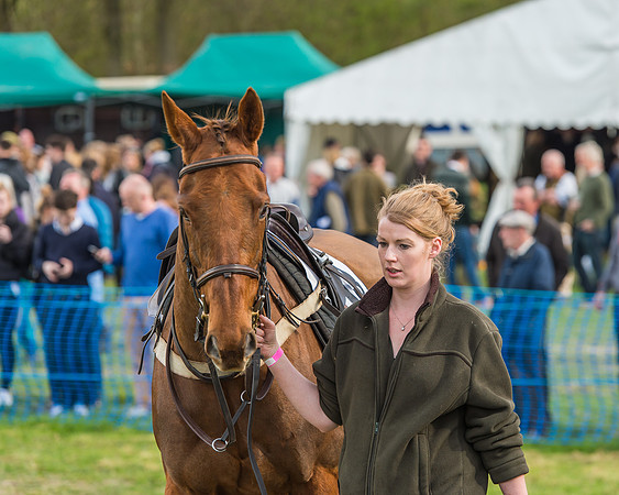 Race 5 - Southern Grand National-19