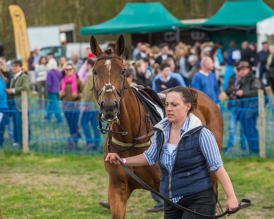 Race 5 - Southern Grand National-21