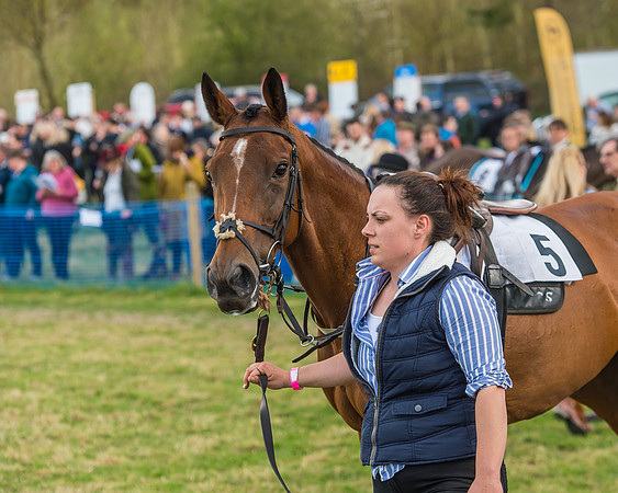 Race 5 - Southern Grand National-22