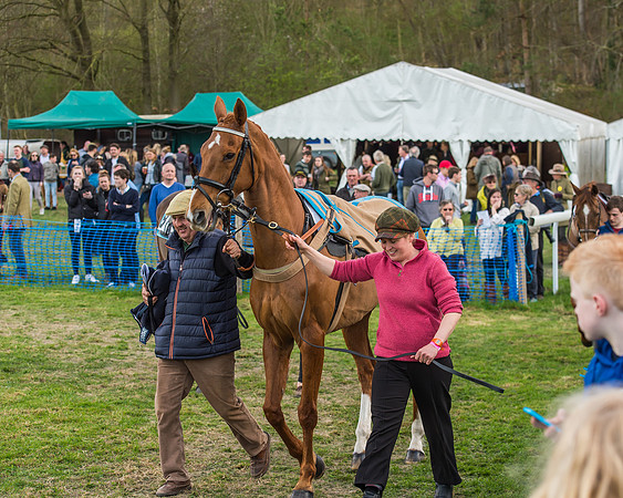 Race 5 - Southern Grand National-25