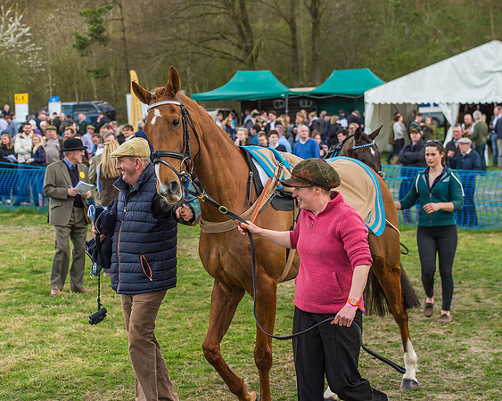 Race 5 - Southern Grand National-26