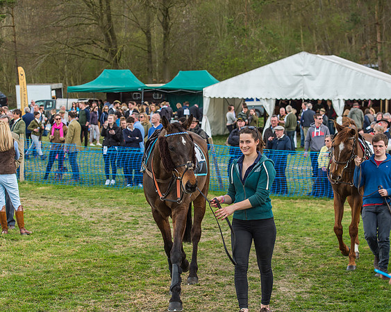 Race 5 - Southern Grand National-27