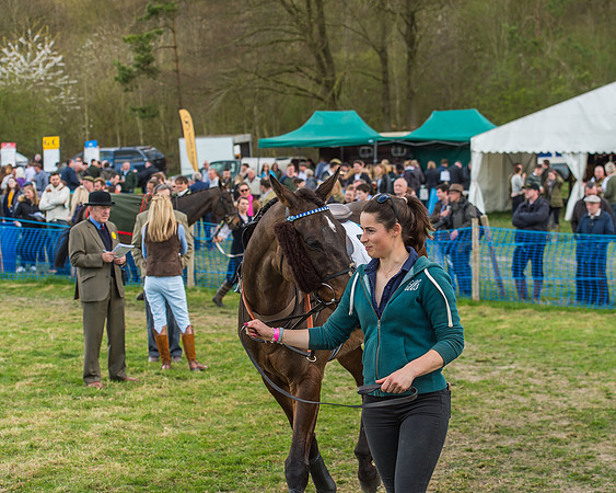 Race 5 - Southern Grand National-28
