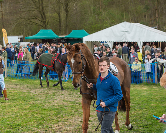 Race 5 - Southern Grand National-29