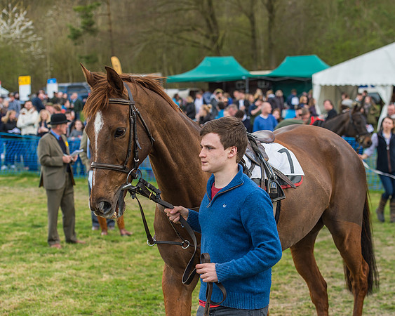Race 5 - Southern Grand National-30