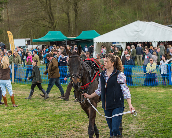 Race 5 - Southern Grand National-31