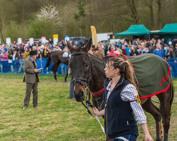 Race 5 - Southern Grand National-32
