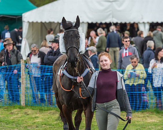 Race 5 - Southern Grand National-33