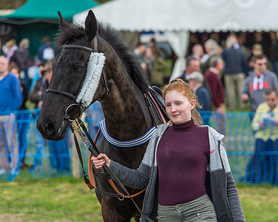 Race 5 - Southern Grand National-34