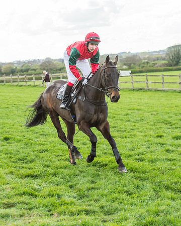 Race 5 - Southern Grand National-35