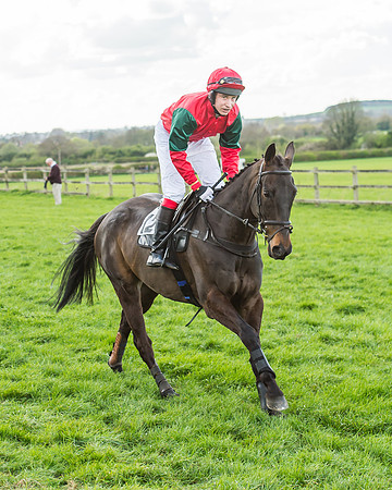 Race 5 - Southern Grand National-36