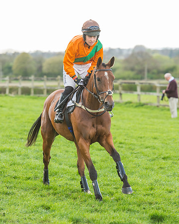 Race 5 - Southern Grand National-37