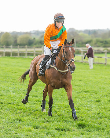 Race 5 - Southern Grand National-38