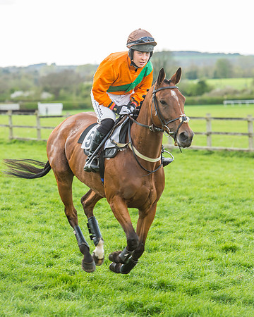 Race 5 - Southern Grand National-39