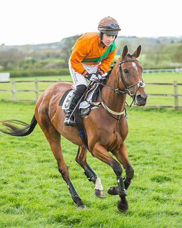Race 5 - Southern Grand National-40