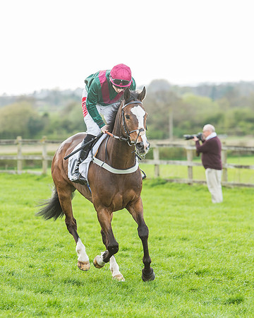 Race 5 - Southern Grand National-41