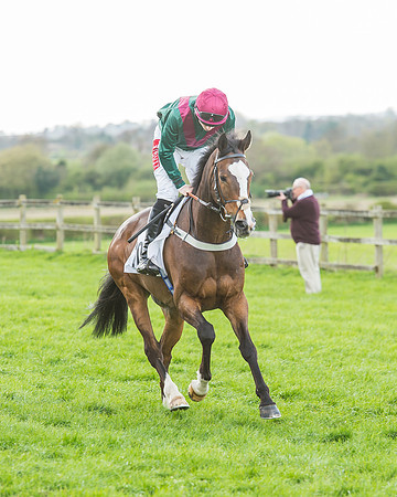 Race 5 - Southern Grand National-42