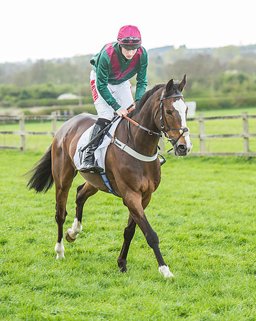 Race 5 - Southern Grand National-43