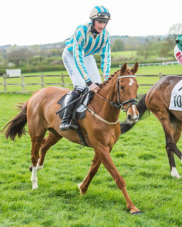 Race 5 - Southern Grand National-45