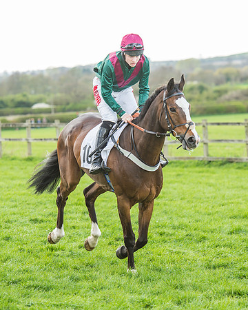 Race 5 - Southern Grand National-44
