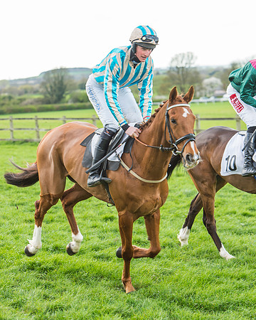 Race 5 - Southern Grand National-46