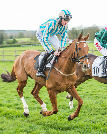 Race 5 - Southern Grand National-47
