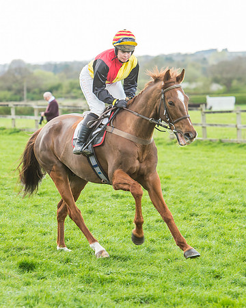 Race 5 - Southern Grand National-48