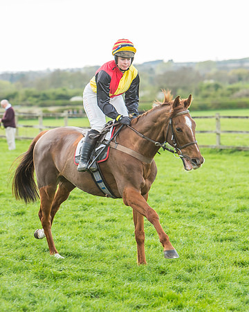 Race 5 - Southern Grand National-49