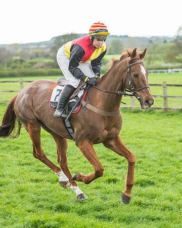 Race 5 - Southern Grand National-50