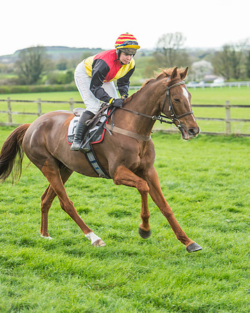 Race 5 - Southern Grand National-51
