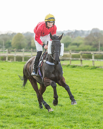 Race 5 - Southern Grand National-52