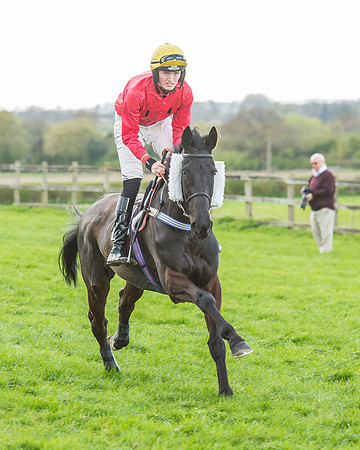 Race 5 - Southern Grand National-53