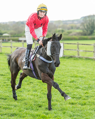 Race 5 - Southern Grand National-54