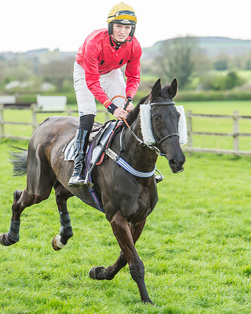 Race 5 - Southern Grand National-55