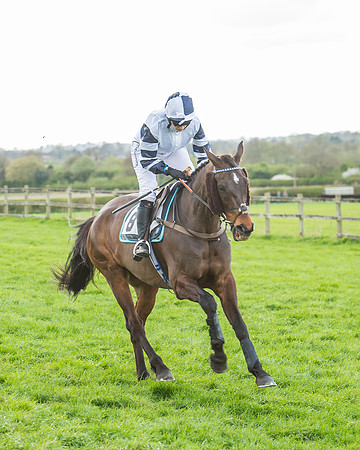 Race 5 - Southern Grand National-56