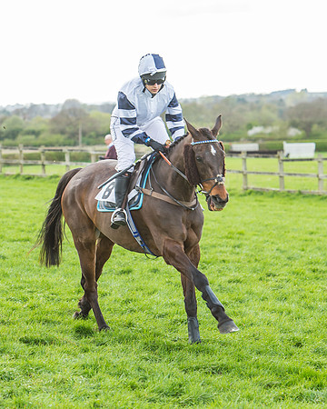 Race 5 - Southern Grand National-57