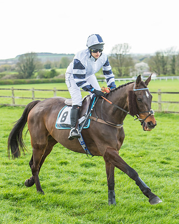 Race 5 - Southern Grand National-58
