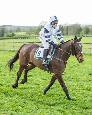 Race 5 - Southern Grand National-59