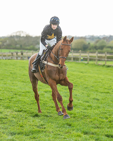 Race 5 - Southern Grand National-60