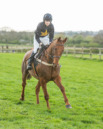Race 5 - Southern Grand National-61