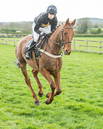 Race 5 - Southern Grand National-62