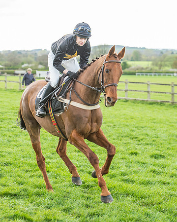 Race 5 - Southern Grand National-63