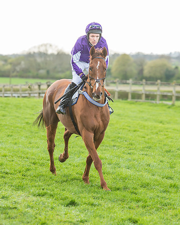 Race 5 - Southern Grand National-64