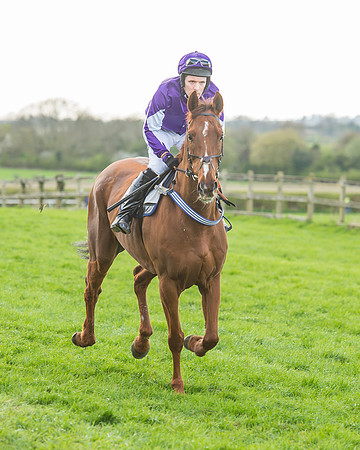Race 5 - Southern Grand National-65