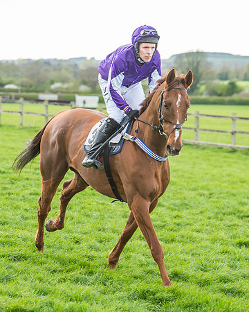Race 5 - Southern Grand National-66