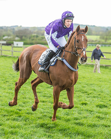 Race 5 - Southern Grand National-67
