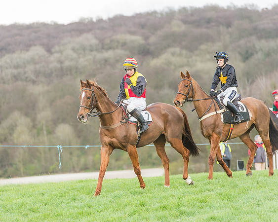 Race 5 - Southern Grand National-68