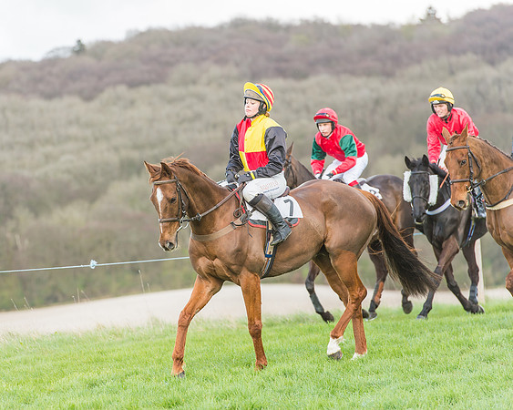 Race 5 - Southern Grand National-69