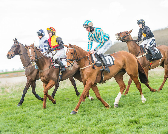 Race 5 - Southern Grand National-71