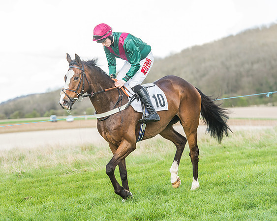 Race 5 - Southern Grand National-72